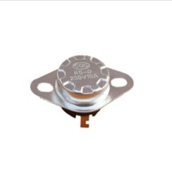 Thermal Fuse